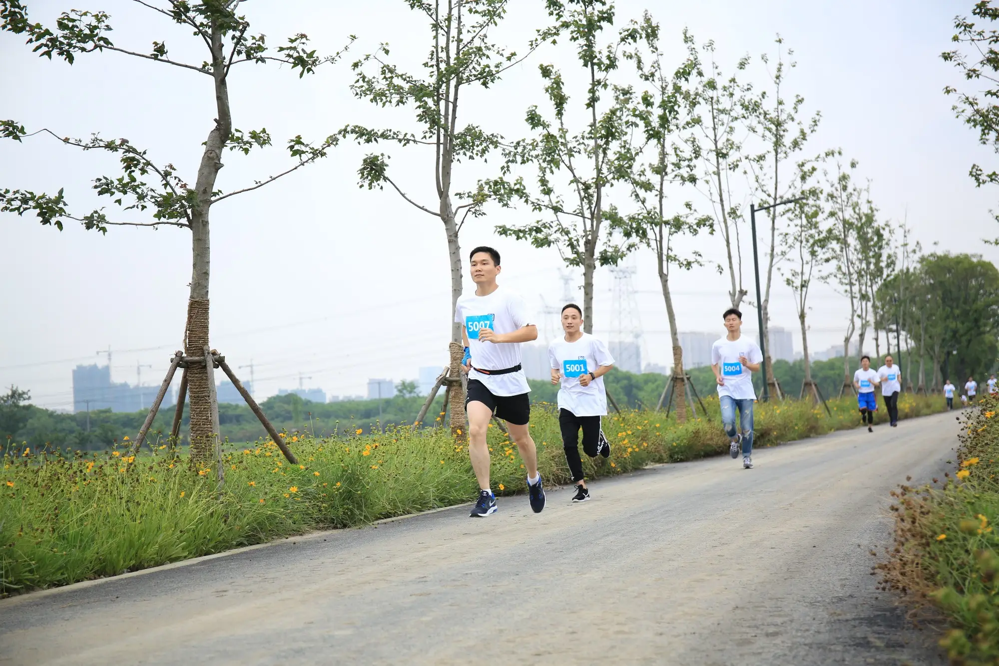 凯捷体育 凯捷体育