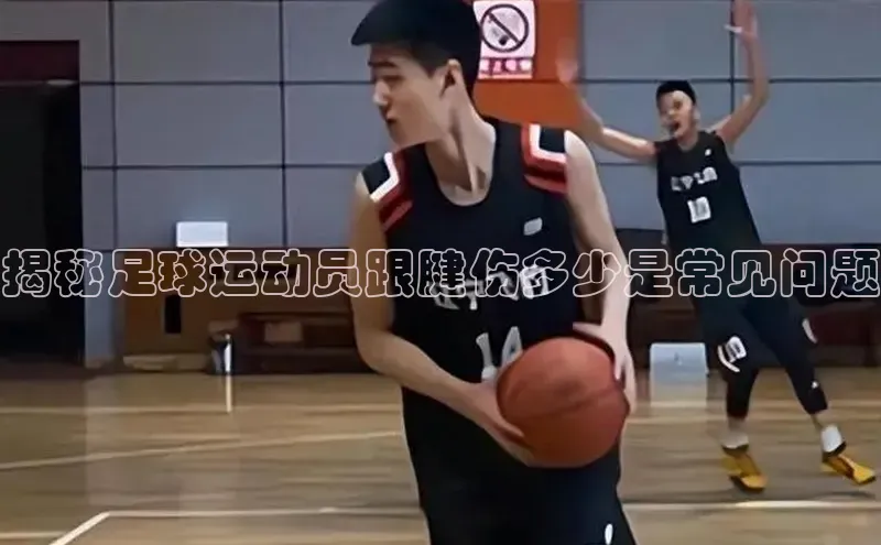 意昂4凯捷体育百度网盘企业版