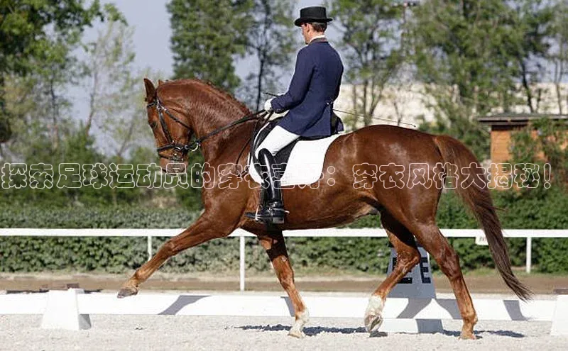 意昂4凯捷体育百度学术