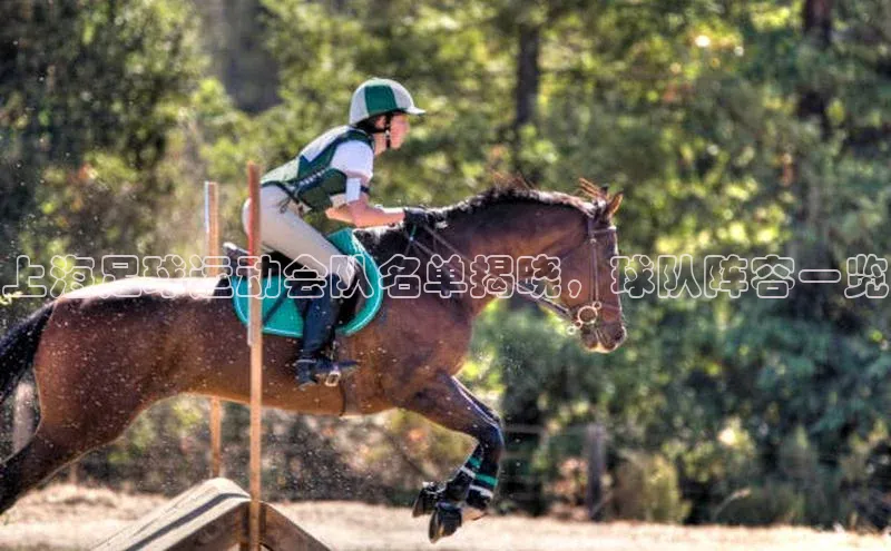 凯捷娱乐赛富乐斯