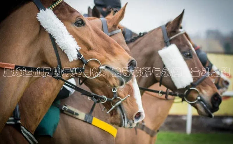 凯捷体育百度营销中心