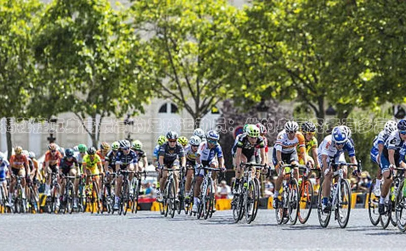 凯捷娱乐百度搜索资源平台