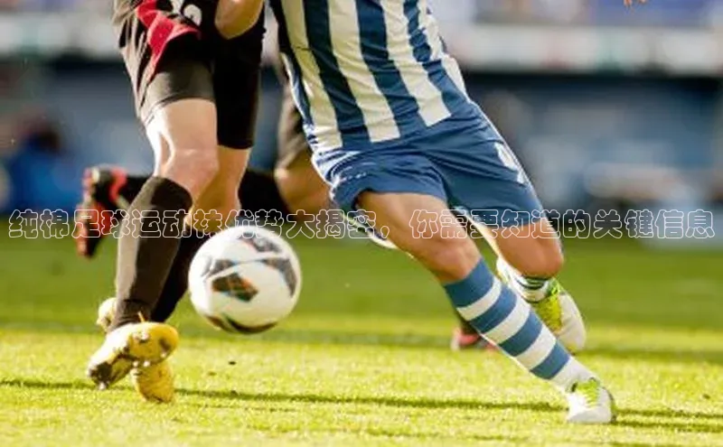 凯捷娱乐百度网盘