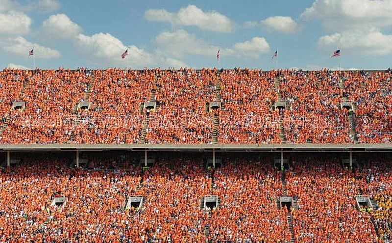 凯捷娱乐百度网盘