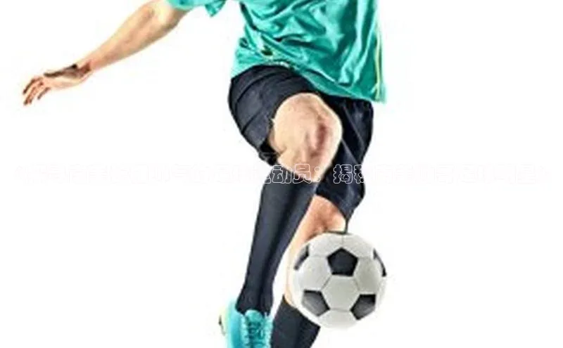 凯捷体育百度人工翻译