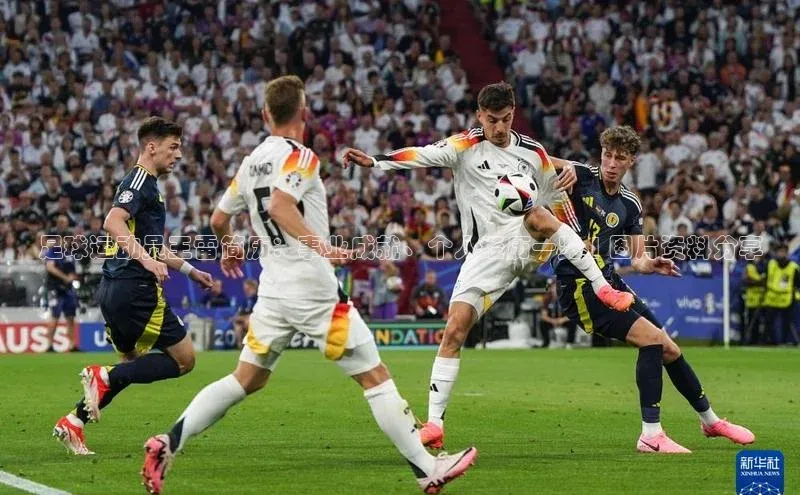 凯捷娱乐百度搜索资源平台