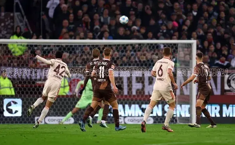 意昂4凯捷娱乐观星盘